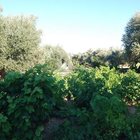 Villa Perivoli Platis Gialos  Eksteriør billede