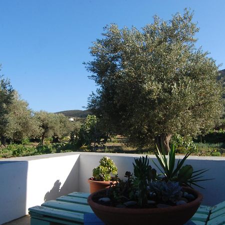 Villa Perivoli Platis Gialos  Eksteriør billede