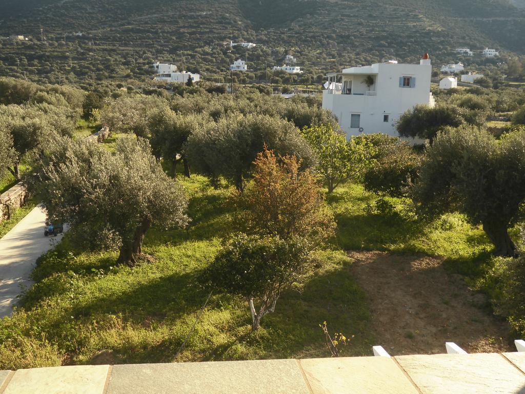 Villa Perivoli Platis Gialos  Eksteriør billede